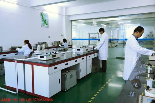 東莞工地設備計量校準下廠服務、外校與信息咨詢綜合解析